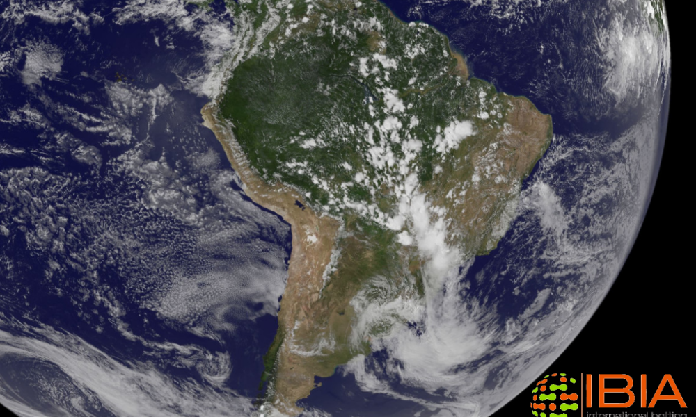 ibia-calls-for-latam-jurisdictions-to-adopt-robust-sports-betting-integrity-provisions